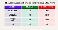 TheEssayWritingService.com